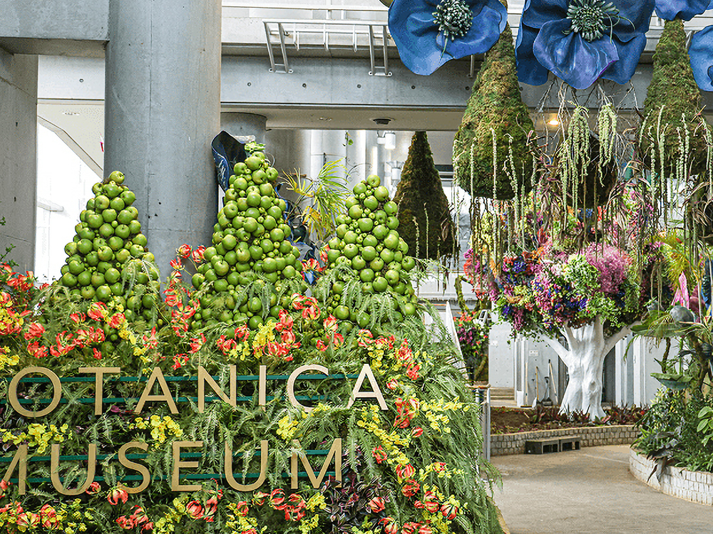 稲毛海浜公園 BOTANICA MUSIUM