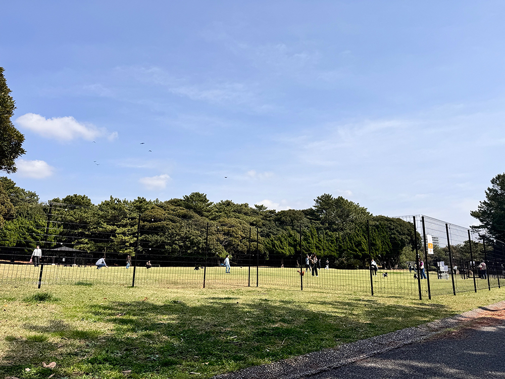 稲毛海浜公園 DOG RUN